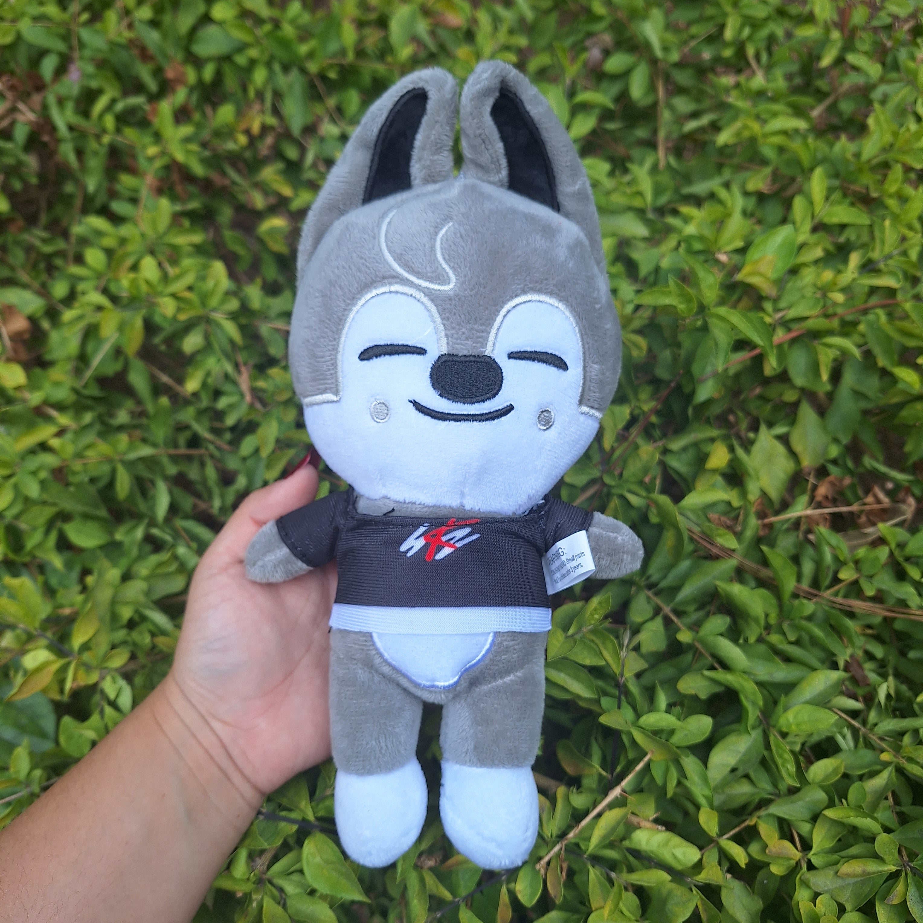 SKZOO 20cms Fanmade
