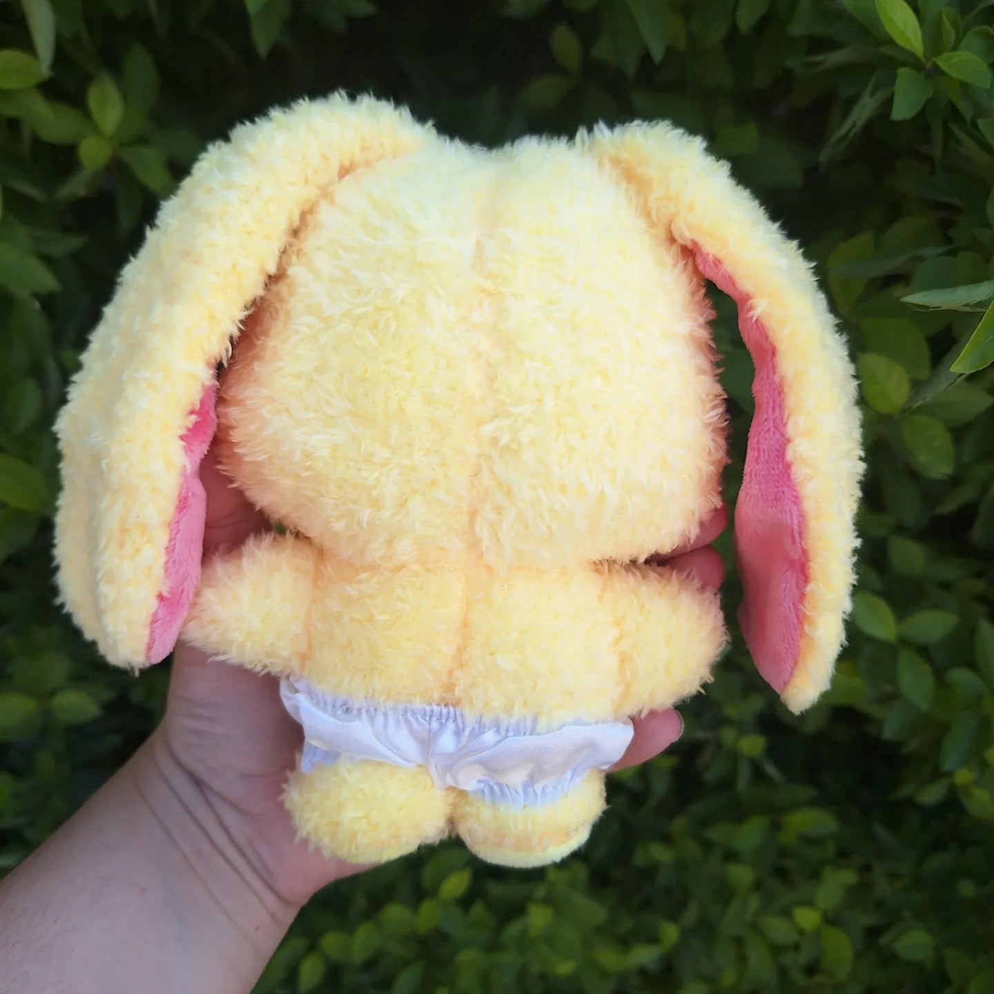 BUNINI 15cms Fanmade