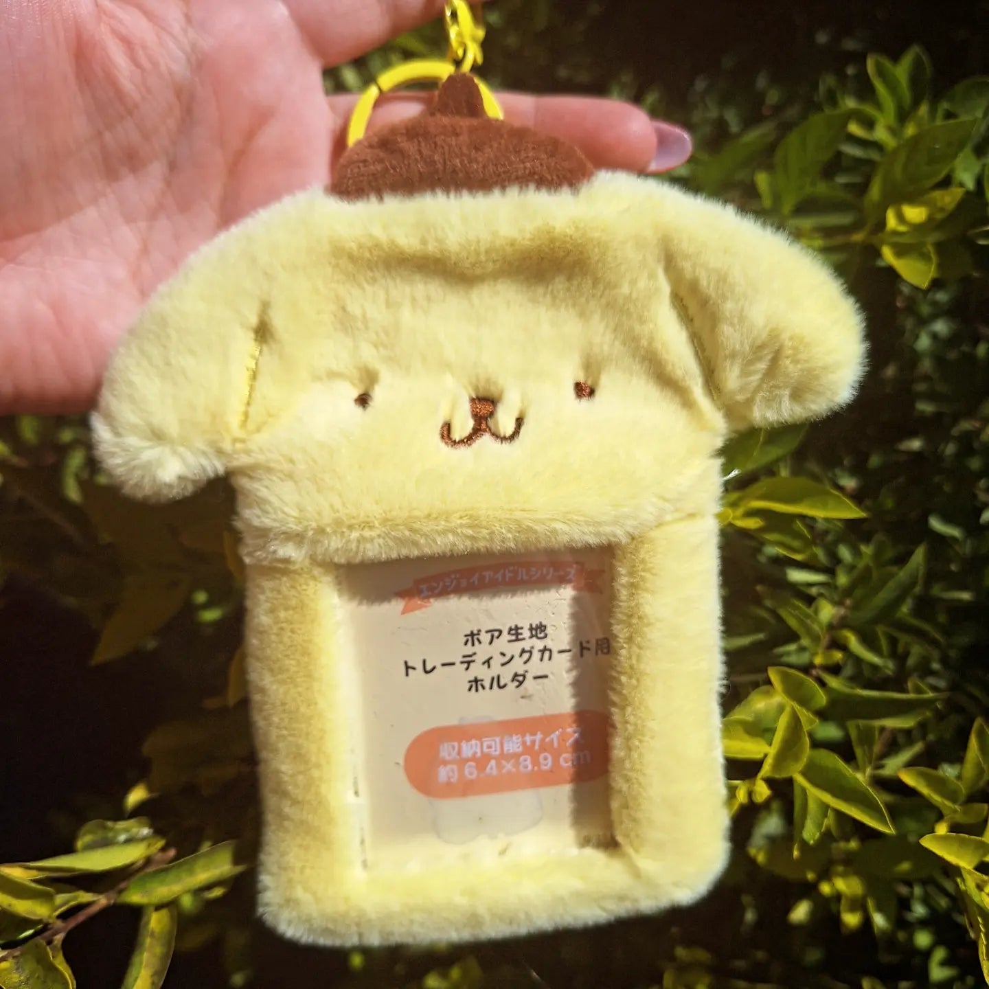 SANRIO 15x10cms HOLDER