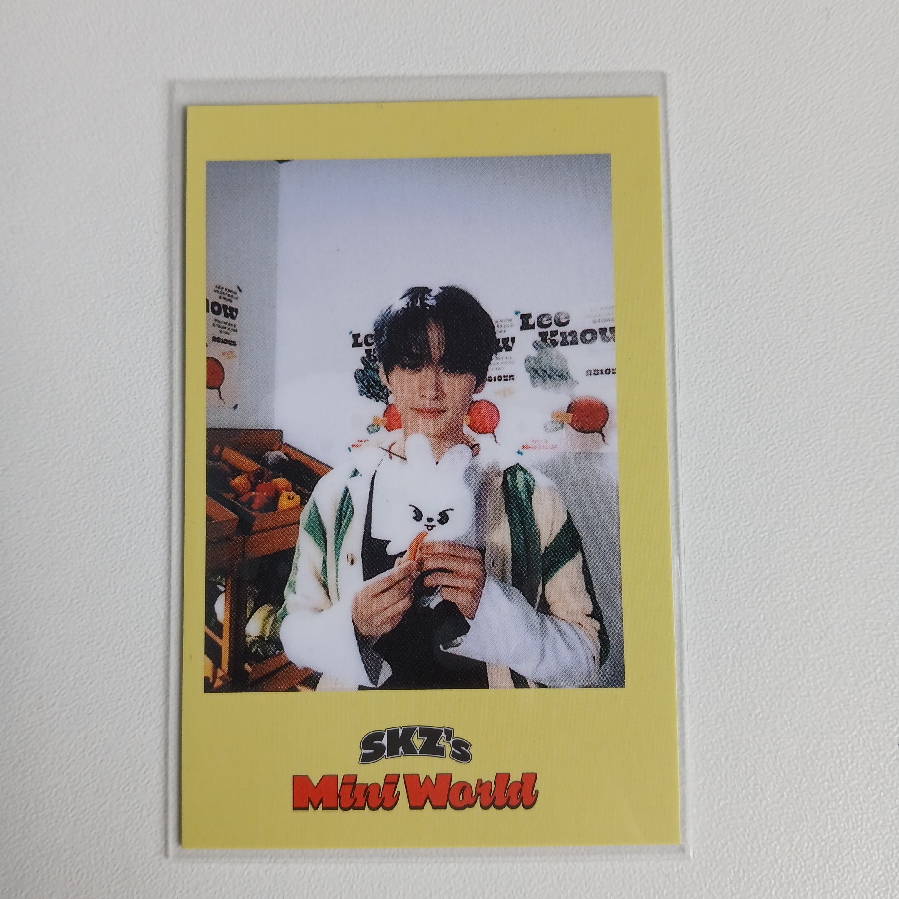 SKZ's MINI WORLD