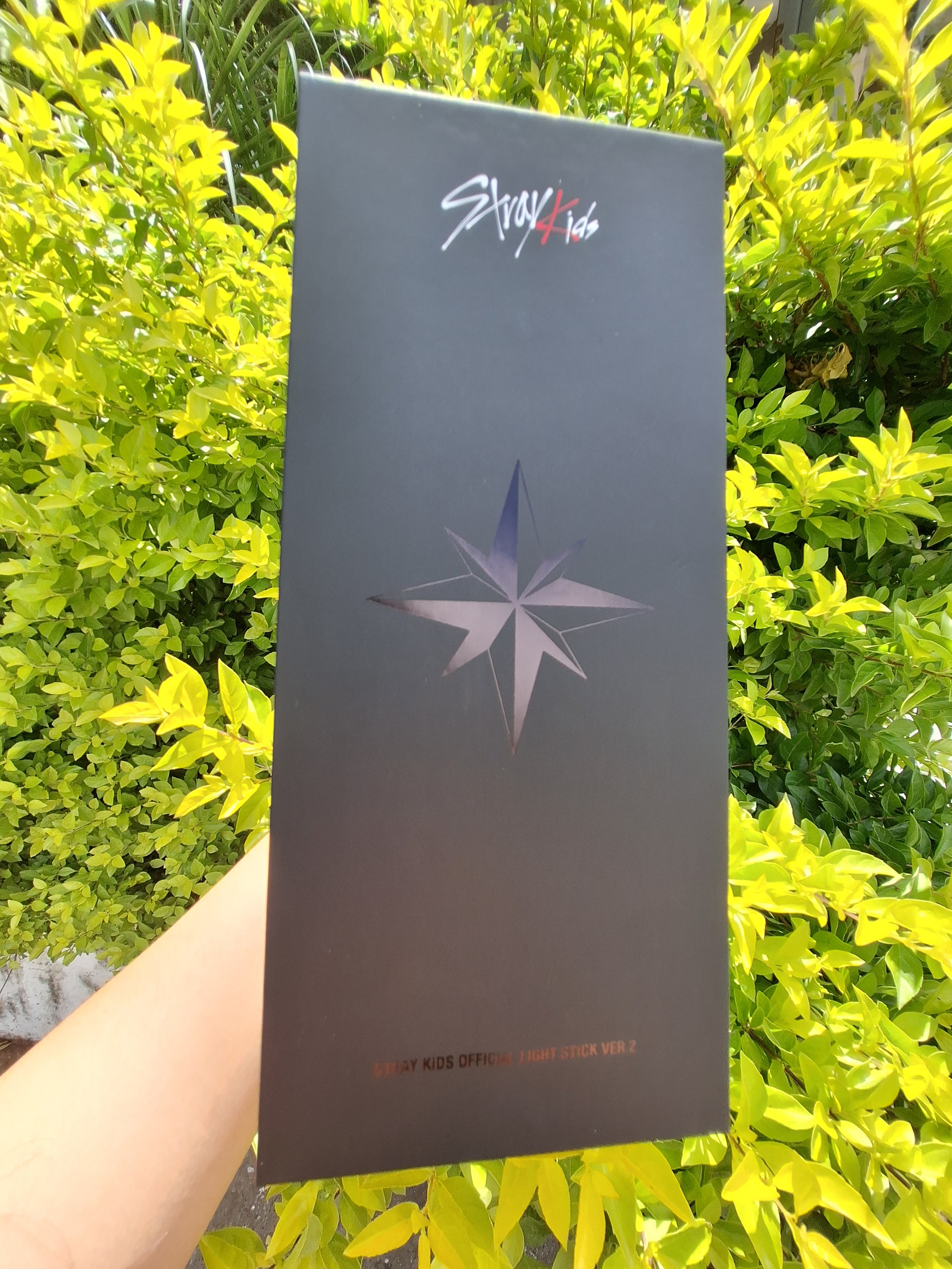 LIGHTSTICK VER.2 - STRAYKIDS