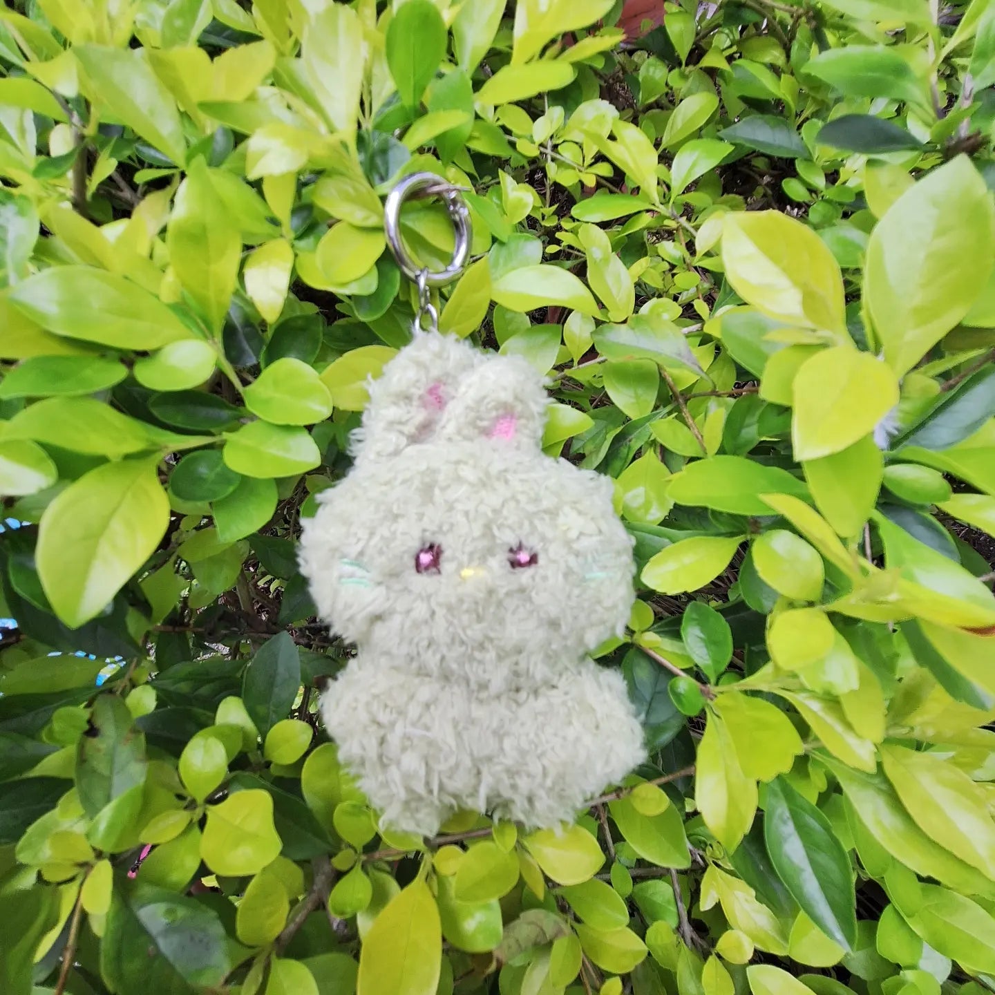 BUNINI 5cms Fanmade