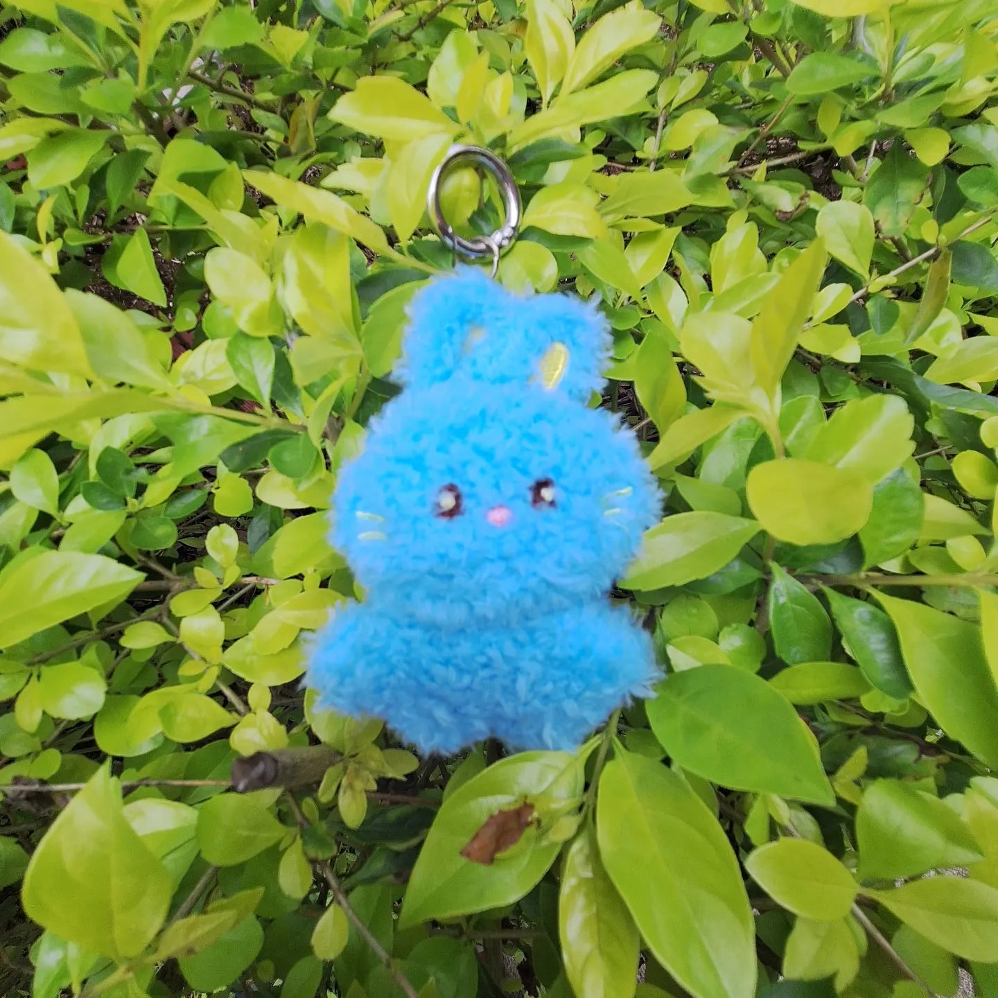 BUNINI 5cms Fanmade