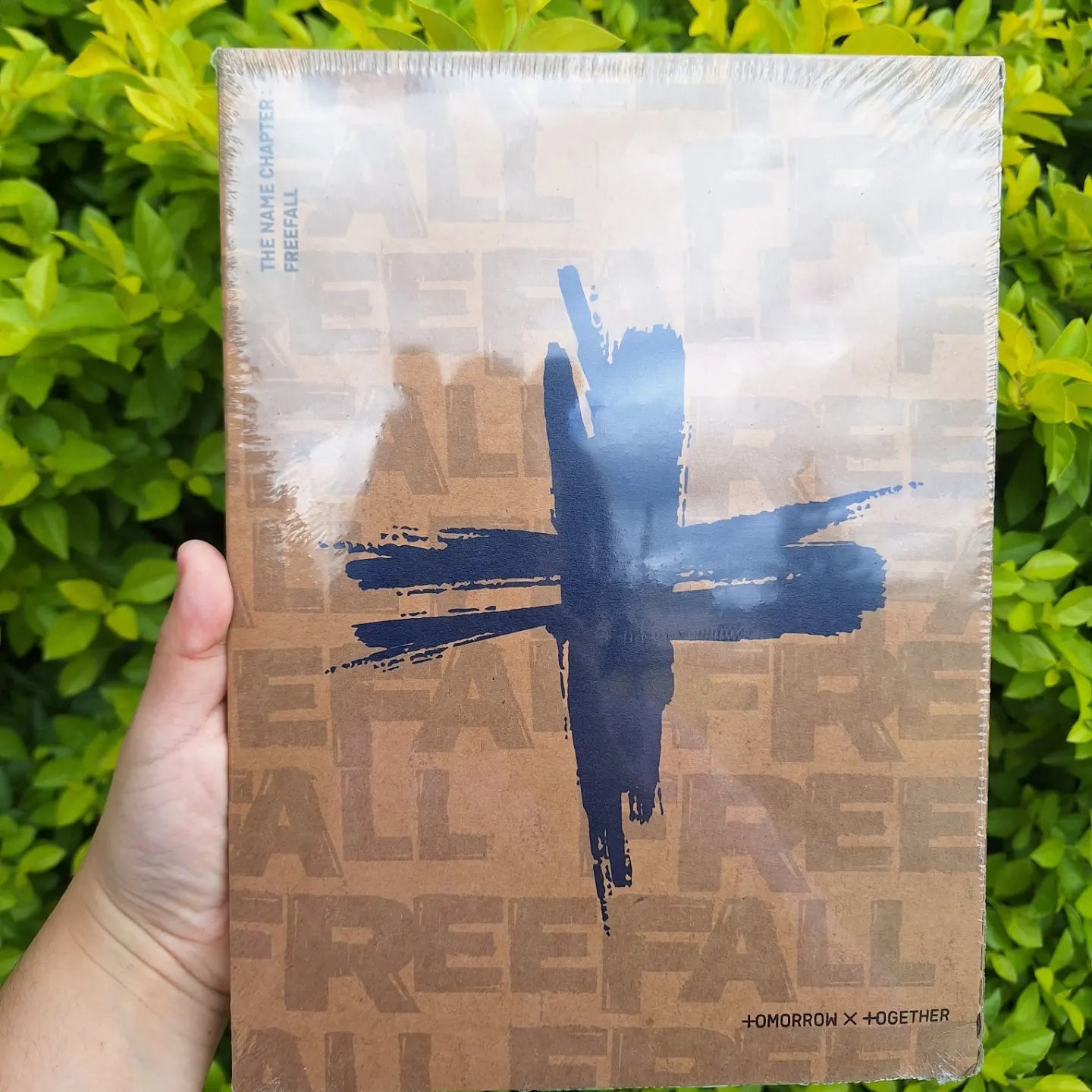 THE NAME CHAPTER: FREEFALL