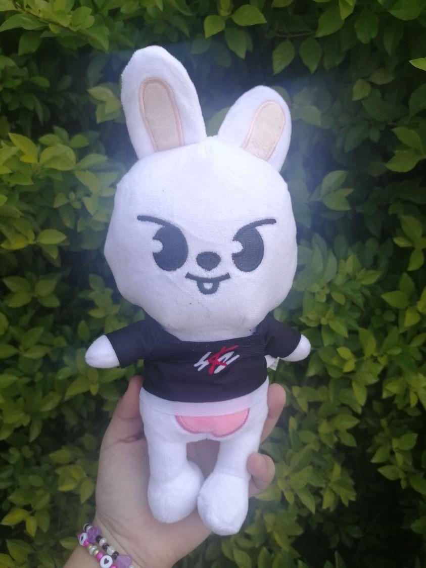 SKZOO 20cms Fanmade