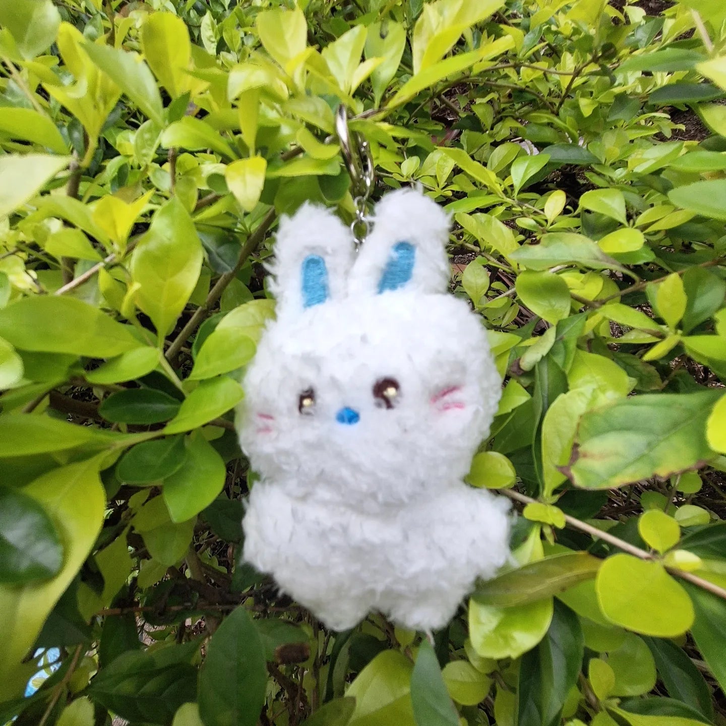 BUNINI 5cms Fanmade
