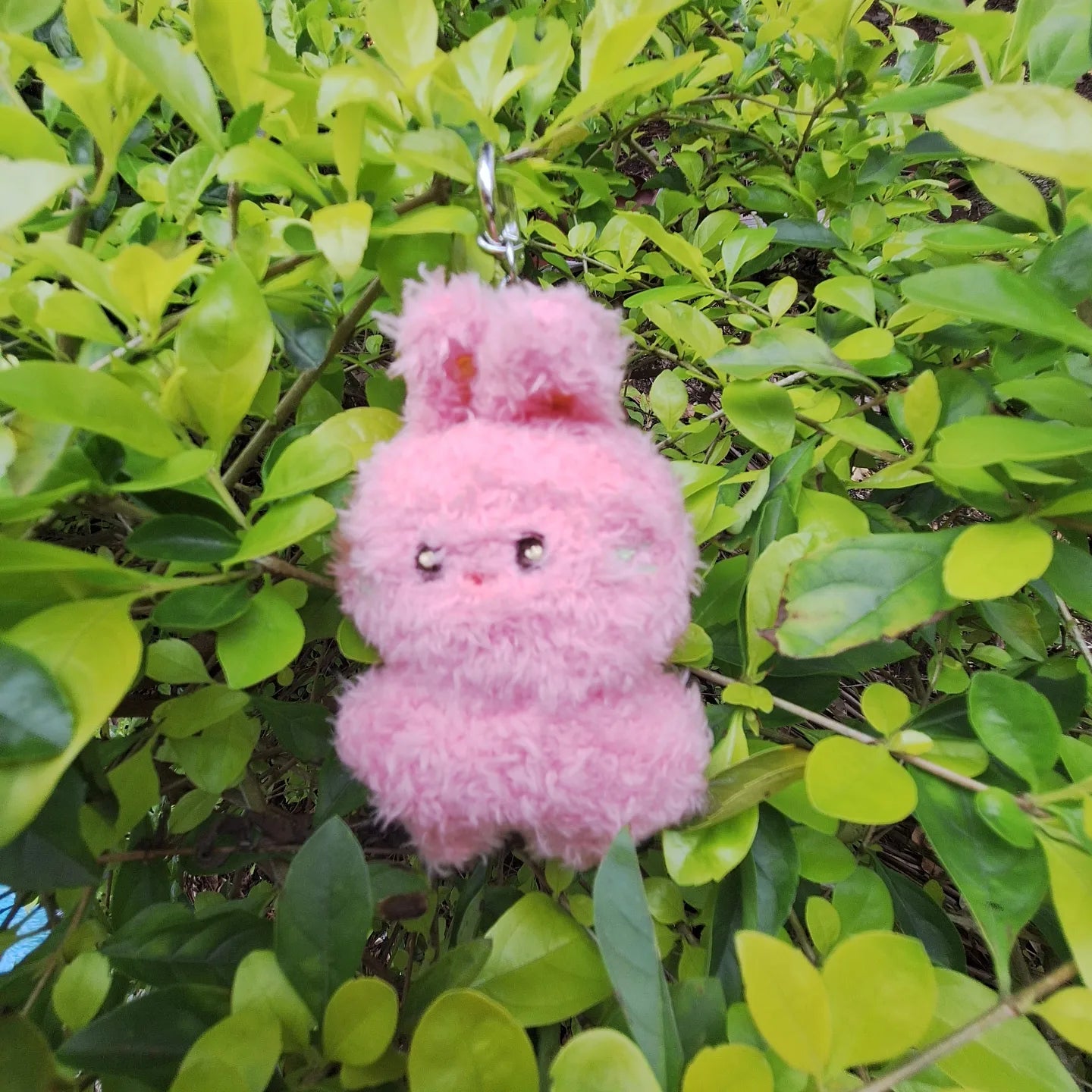BUNINI 5cms Fanmade