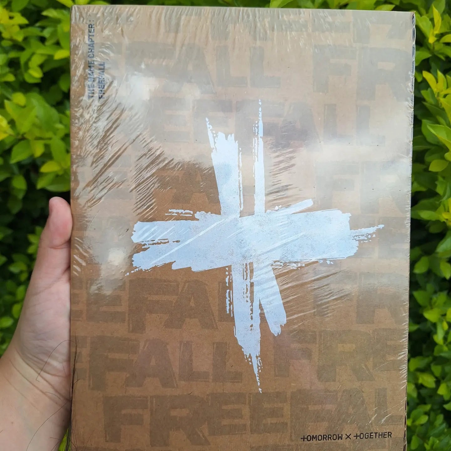 THE NAME CHAPTER: FREEFALL