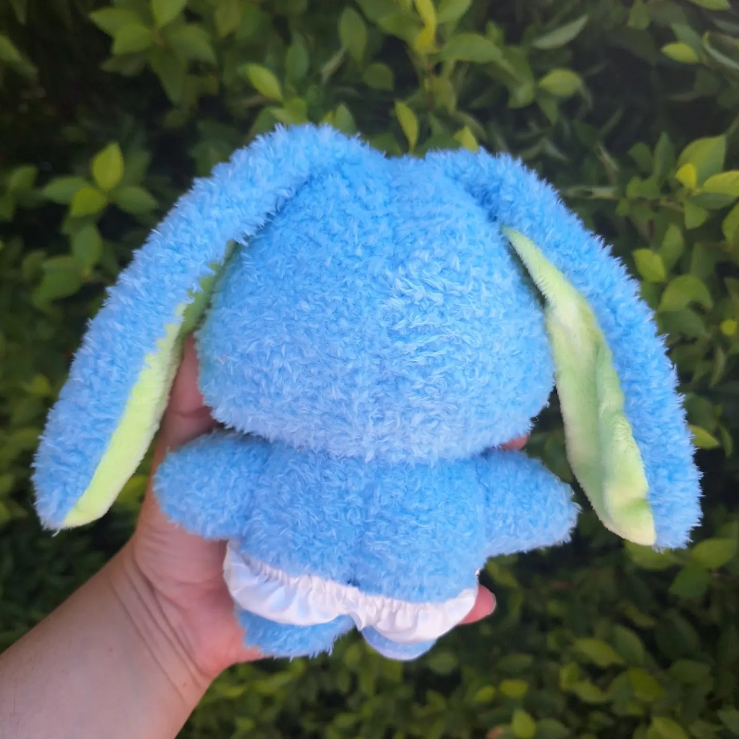 BUNINI 15cms Fanmade